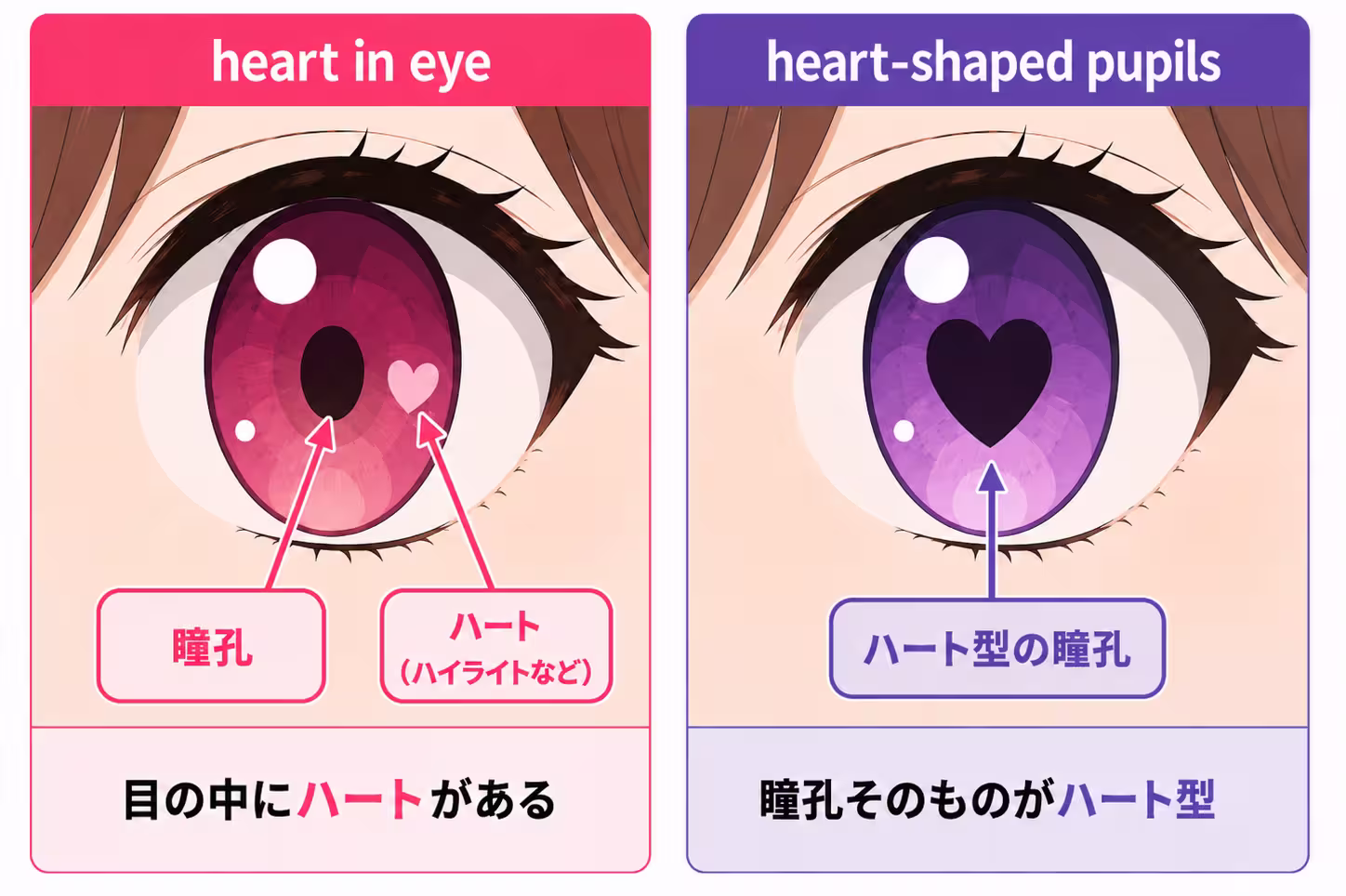 heart in eye と heart-shaped pupils の比較図